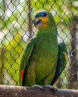 _JHX8810-Edit