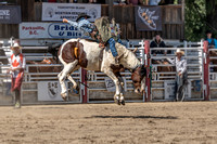 Coombs Rodeo