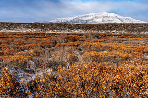 DSC05254-HDR
